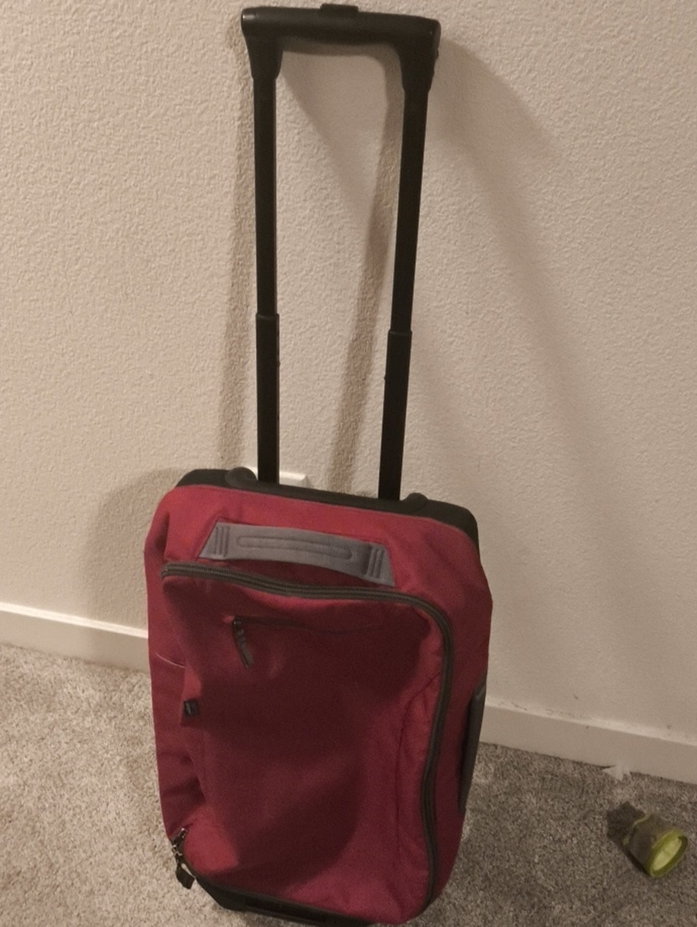 Patagonia Red Rolling Carry-On Bag for Men